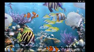 the real aquarium hd app review