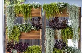 vertical gardening ideas how what to