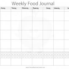 Food Log Sheet Unique Temperature Chart Template