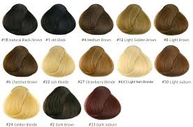 Light Brown Hair Color Chart
