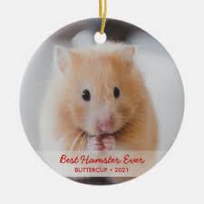 best hamster gift ideas zazzle