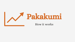 What is Pakakumi and how does it work - Kenyayote