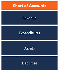 chart of accounts definition how to