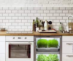 3 Tech Solutions To Growing Herbs And