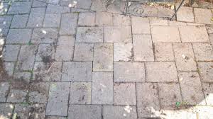 How To Remove Tree Roots Under Pavers