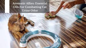 essential oils for combatting cat urine