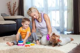 carpet cleaning services in sunrise