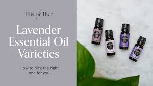 lavender essential oil blends what s