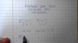 Montrer que deux vecteurs sont colinéaires - Mathématiques et géométrie -  YouTube