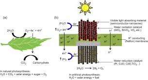 Artificial Photosynthesis An Overview