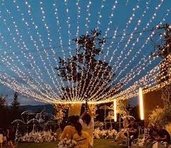 Outdoor Fairy Lights Wedding Party