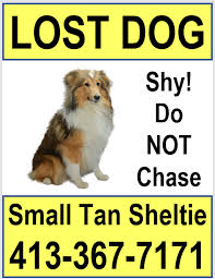 Woman pasting lost pet posters. Lost Pet Poster Templates Lost Pet Research And Recovery