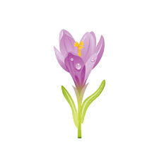 Crocus Flower Fl Icon Realistic