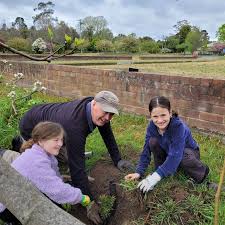 Joint Planting At Moss Vale Community
