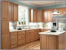 You'll have to remove the doors from the cabinets, for starters. Kitchen Paint Colors Light Brown Cabinets Kitchen Remodel Kitchen Colour Schemes Oak Kitchen