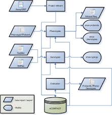 Flow Chart Of Data Import And Export Ecompagt Stores
