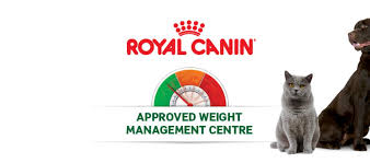 Weight Management Centre Paragon Veterinary Group
