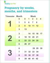 Pregnancy Chart Weeks Months Trimesters Www