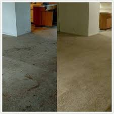 carpet cleaning services in kokomo in