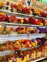 Check spelling or type a new query. Dollar Tree Haul Check Out All These Fall Harvest Items