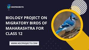 biology project on migratory birds of