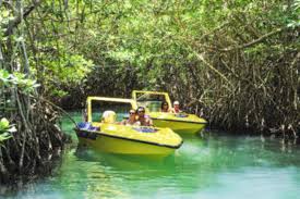best jungle tour in cancun with aquaworld