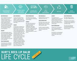 burt s bees lip balm design life cycle
