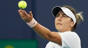 Bianca vanessa andreescu, professionally known as bianca andreescu is a canadian professional tennis player. Yjbszrh0ax Dfm