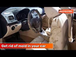 car mold professional car mold