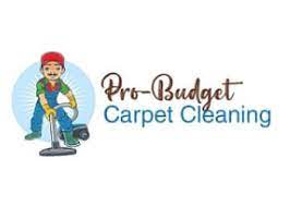 pro budget carpet cleaning in ontario