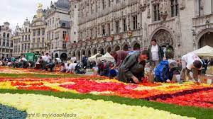 flower carpet brussels belgium