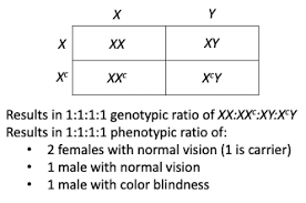 color blindness is inherited as a