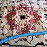 the 1 carpet cleaning in wichita ks