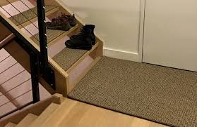indoor outdoor area rug carpet