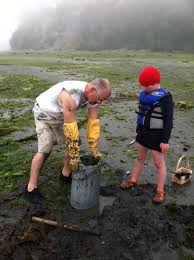 Dig For Your Dinner The Ultimate Northwest Family Clamming
