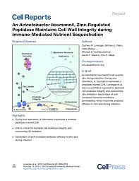 Integrated as module of see electrical and see electrical expert or available in standalone version. Pdf An Acinetobacter Baumannii Zinc Regulated Peptidase Maintains Cell Wall Integrity During Immune Mediated Nutrient Sequestration