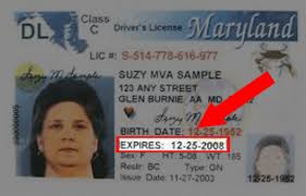 how to renew a maryland driver license