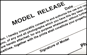 model releases what you need to know