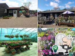 s green garden centre and cafe in