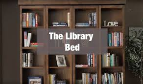 Library Wallbed Bookcase Style Murphy
