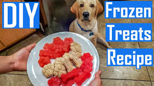 3 diy homemade frozen dog treat recipe