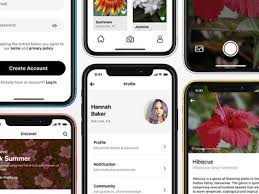 4 plant identification apps for iphoneplantsnap: Plant Identification Designs Themes Templates And Downloadable Graphic Elements On Dribbble