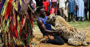 IMAGEN AMPLIA Los hombres hiena de Nigeria colocan a los animales difamados en el centro del escenario |  Reuters