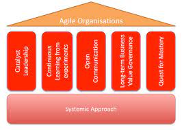 Agile Organization Characteristics gambar png