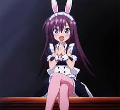 It's a japanese mecha anime. Top 20 Best Anime Bunny Girls Of All Time Fandomspot