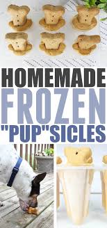 homemade frozen pupsicles dog