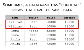 pandas drop duplicates explained