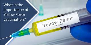 yellow fever vaccination sydenham