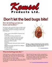 don t let the bed bugs bite kemsol