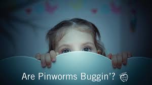 Treating Pinworms Naturally The Whole